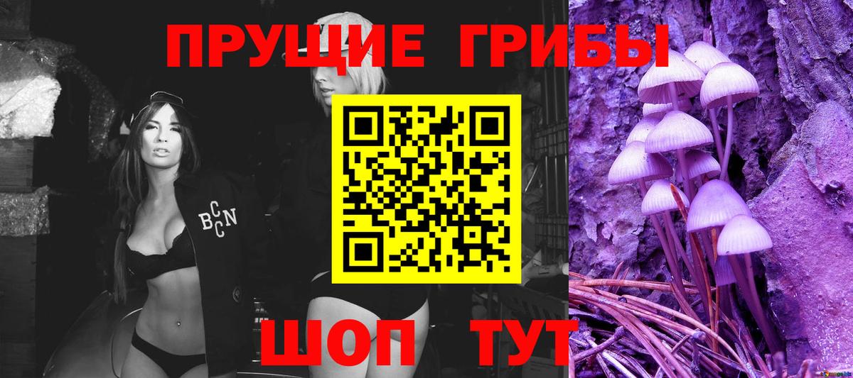 Псилоцибиновые грибы мицелий Оренбург